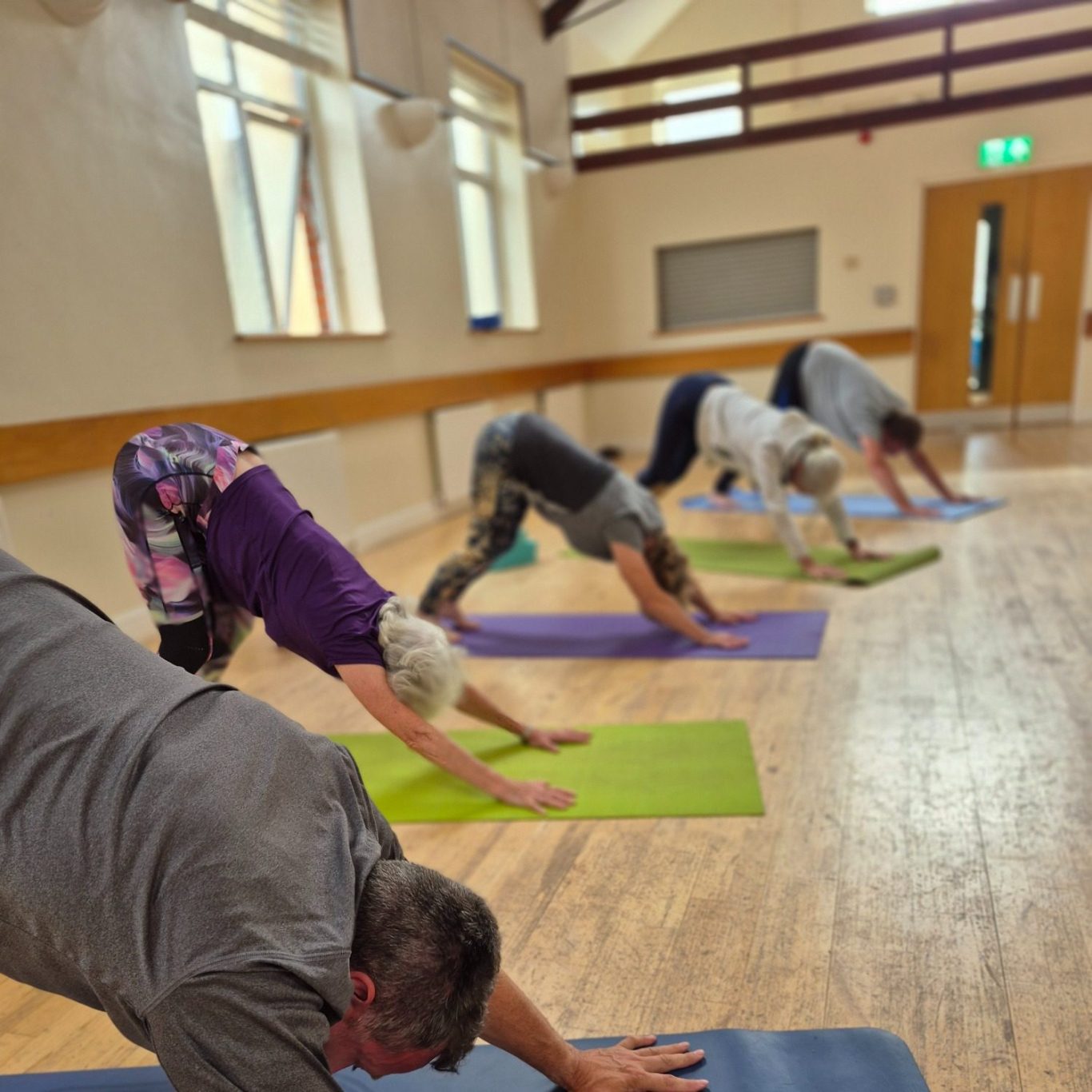 downward dog Group of people in a yoga class performing downward dog pose on mats.